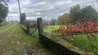 Land for sale in Vila Nova de Cerveira, Portugal — €66,500
