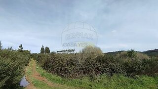 Terreno · 14 000 m² · 15 900 €
