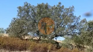 Land for sale in Castro Marim, Portugal — €29,900
