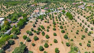Land for sale in Torres Novas, Portugal — €75,000
