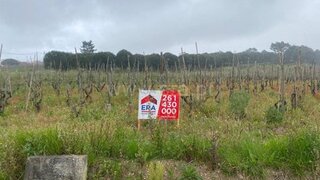 Land for sale in Lourinhã, Portugal — €95,000