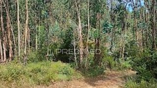 Land for sale in Tomar, Portugal — €2,000