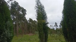 Terreno · 700 m² · 45 000 €