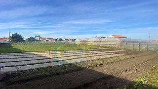 Terreno em Torres Vedras · 3280 m² · 350 000 €