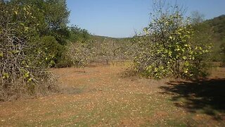 Land for sale in Loulé, Portugal — €65,000