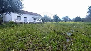 Land for sale in Idanha-a-Nova, Portugal — €100,000