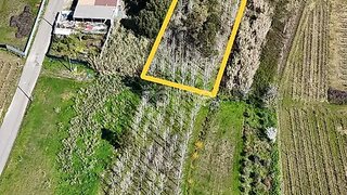 Land for sale in Anadia, Portugal — €30,000
