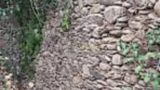 Terreno para venda em Lousã, Portugal — 24 000 €