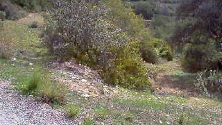 Terreno de 3 m² em Faro