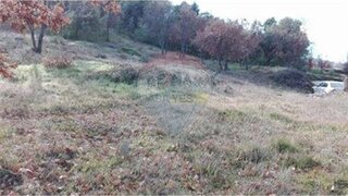 Terreno de 7200 m² em Guarda