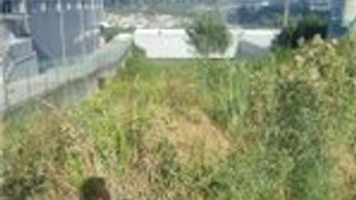 Land for sale in Guimarães, Portugal — €185,000
