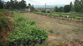 Land for sale in Vila Nova de Cerveira, Portugal — €60,000