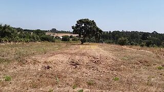 Land for sale in Cartaxo, Portugal — €60,000