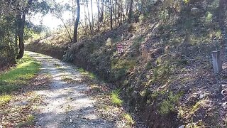 Land for sale in Águeda, Portugal — €38,000