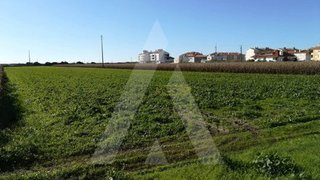 Land for sale in Vagos, Portugal — €750,000