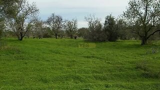 Land for sale in Olhão, Portugal — €60,000