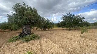 Land for sale in Loulé, Portugal — €88,000