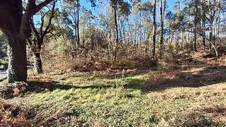 Land for sale in São Pedro do Sul, Portugal — €50,000