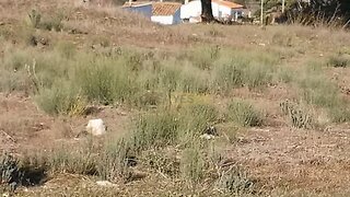Land for sale in Belmonte, Portugal — €34,000