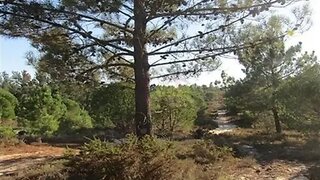 Land for sale in Santiago do Cacém, Portugal — €299,000
