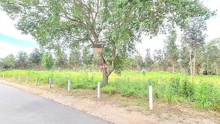 Land for sale in Águeda, Portugal — €150,000