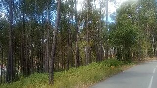 Land for sale in Ourém, Portugal — €5,000