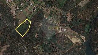 Land for sale in Santa Comba Dão, Portugal — €35,000