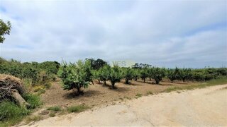 Land for sale in Bombarral, Portugal — €85,000