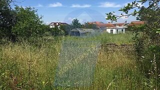 Land for sale in Anadia, Portugal — €55,000