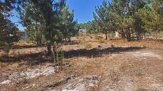 Land for sale in Alcobaça, Portugal — €99,900