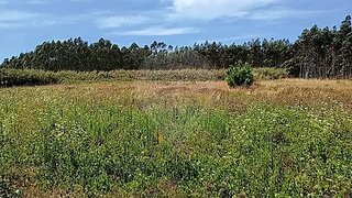 Land for sale in Peniche, Portugal — €39,500