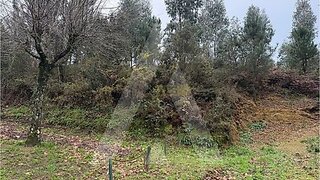 Land for sale in Oliveira de Azeméis, Portugal — €320,000