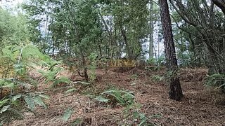Terreno de 560 m² em Castelo Branco