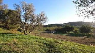 Land for sale in Silves, Portugal — €320,000