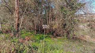 Land for sale in Vila Nova de Famalicão, Portugal — €1,536,000