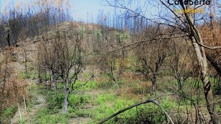 Terreno · 3300 m² · 12 500 €
