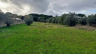 Land for sale in Torres Novas, Portugal — €15,000
