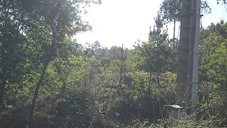 Land for sale in Oliveira de Azeméis, Portugal — €20,000