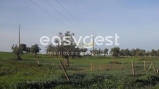 Terreno em Aljustrel