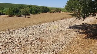 Land for sale in Redondo, Portugal — €60,000