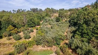 Land for sale in Penalva do Castelo, Portugal — €34,506
