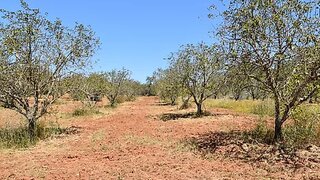 Terreno · 11 000 m² · 48 000 €