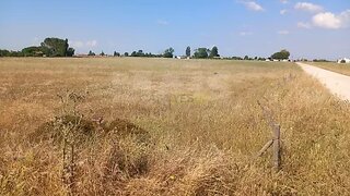 Land for sale in Benavente, Portugal — €117,000