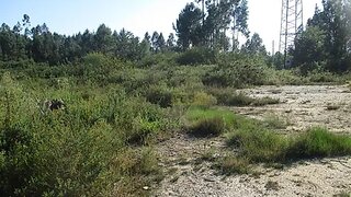 Terreno · 3400 m² · 150 000 €
