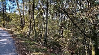 Land for sale in Amarante, Portugal — €20,000