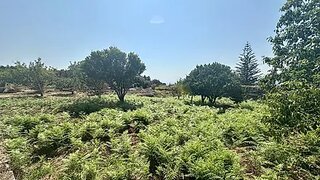 Terreno em Viana do Castelo · 2390 m² · 255 000 €