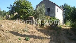 Terreno de 8415 m² em Viseu