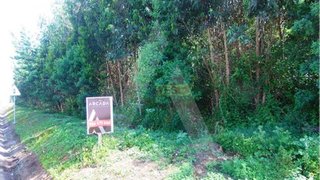 Terreno em Aveiro · 14 500 m² · 3 750 000 €