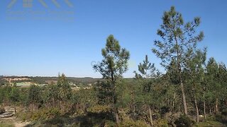 Land for sale in Torres Vedras, Portugal — €156,100
