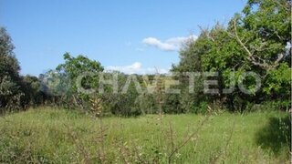 Land for sale in Torres Novas, Portugal — €38,500